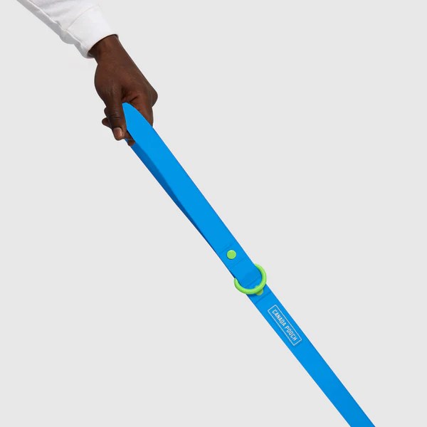 Waterproof Dog Leash Canada Pooch