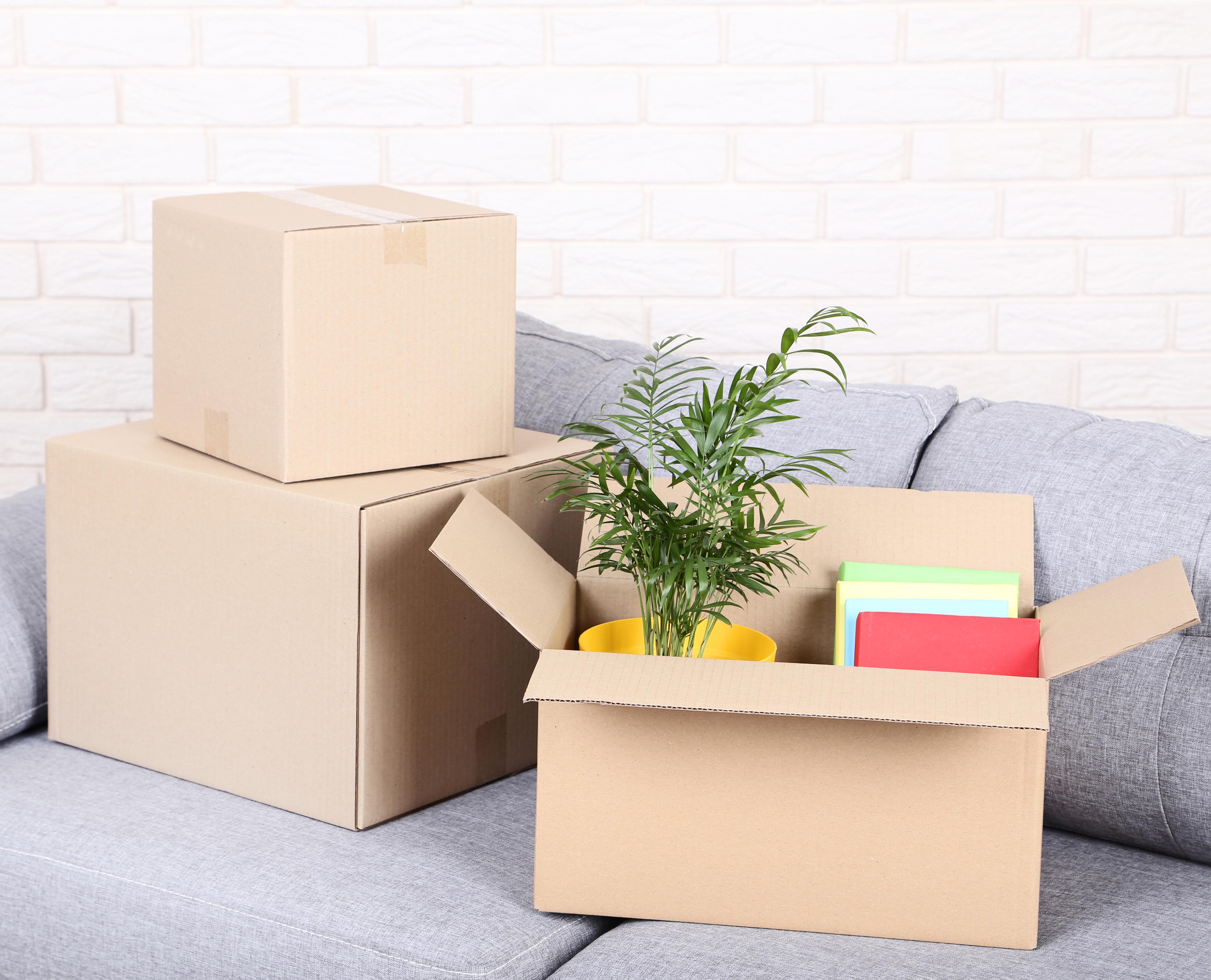 storage solutions canada