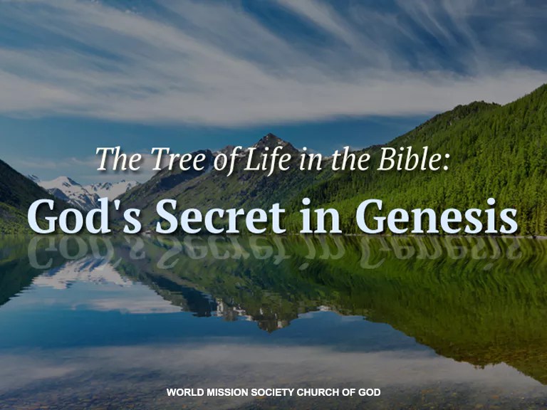 The Tree of Life in the Bible God's Secret in Genesis World Mission