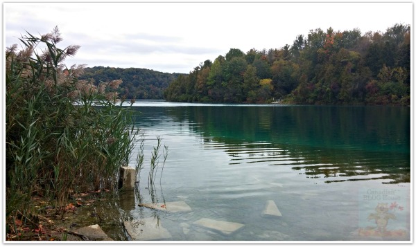 19 Fascinating Facts About Syracuse, New York sharecuse