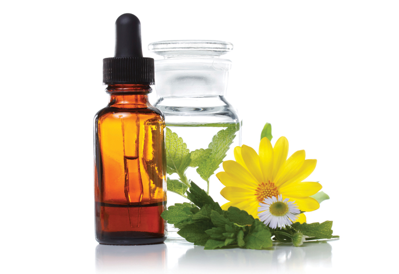 Helping your anxious dog with flower essences Canadian Dogs