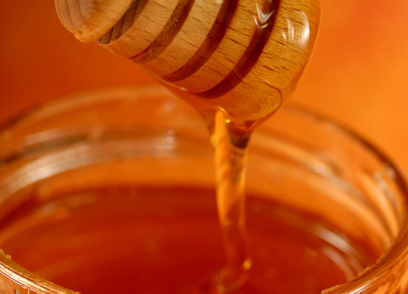 Soothe your dog's stomach