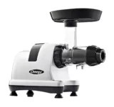 Omega Horizontal Slow Juicer Canadian Tire