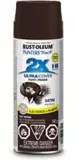 Peinture en aérosol Painter’s Touch 2X, fini satiné, 340 g Canadian Tire