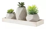 CANVAS Medley Faux Potted Plant Set Canadian Tire
