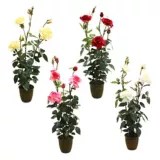 Plant de rosier artificiel, 30 po Canadian Tire