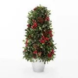 Boxwood Topiary Tree Canadian Tire