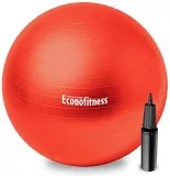 Econofitness Exercise Ball Canadian Tire