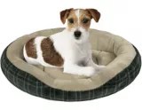 Lit à ourlet pour chiens Petco, ovale, 24 x 17 po Canadian Tire