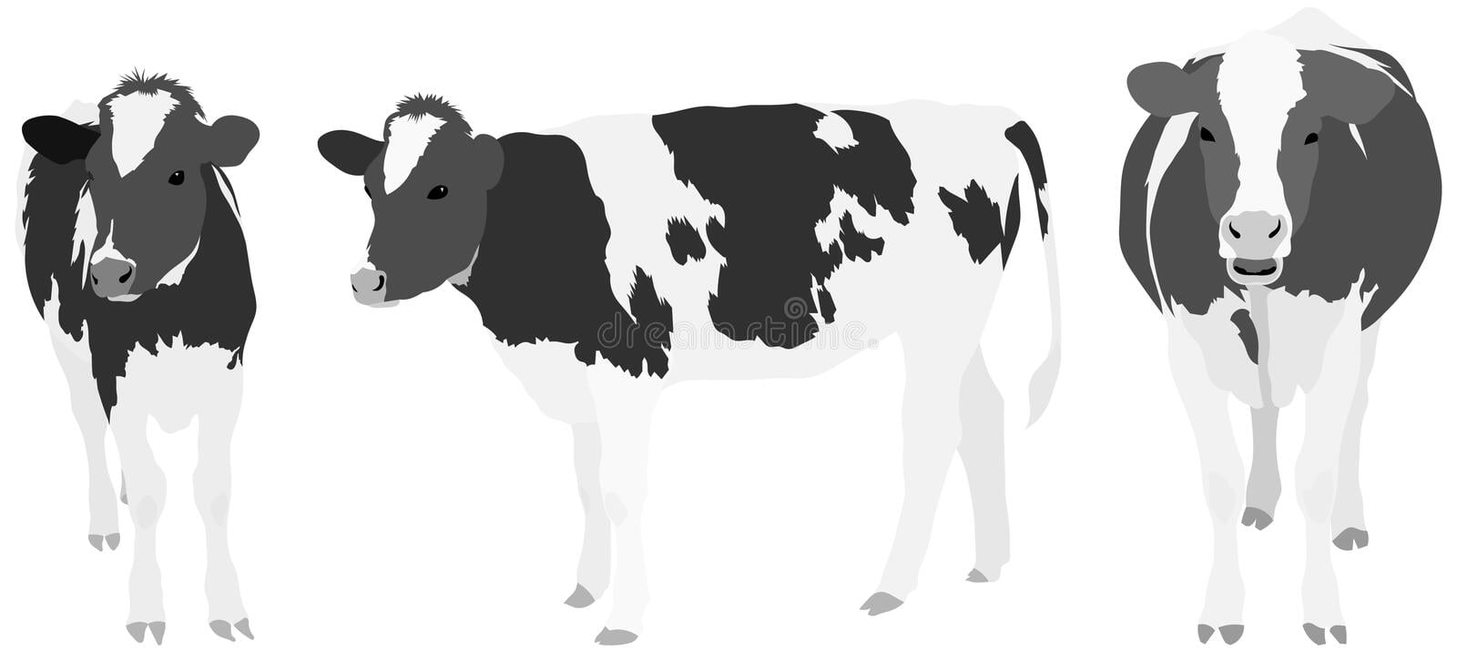 Tiny Tips The COWS Scale CanadiEM
