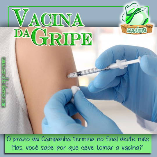 Vacina da Gripe O prazo da Campanha termina no final deste mês.u00