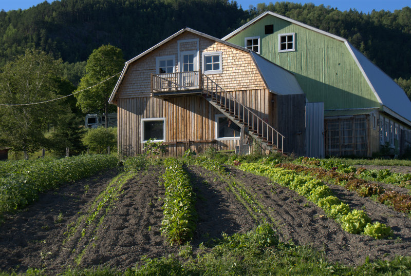 Pérégrinations québecoises