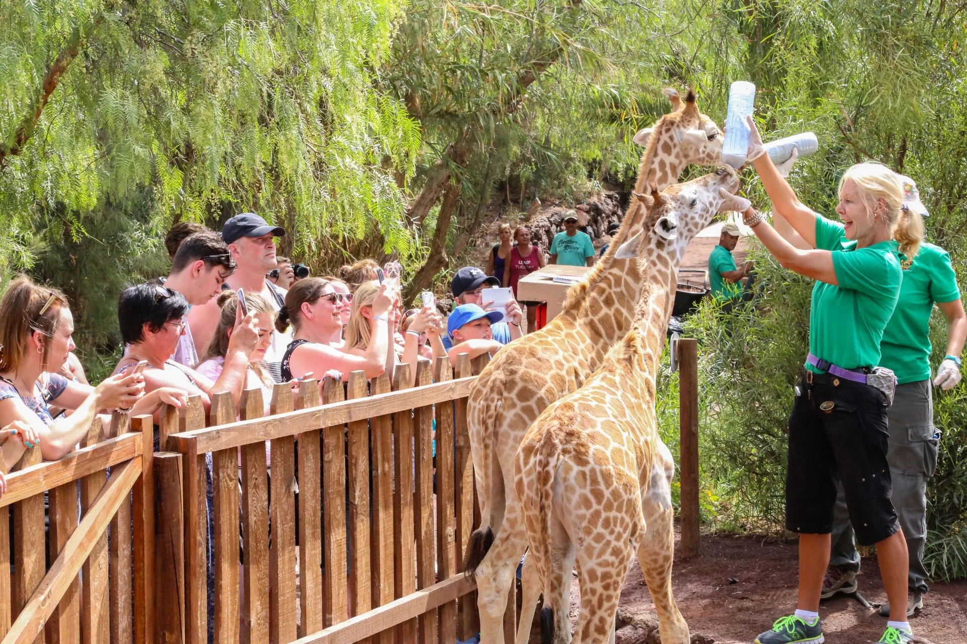 Oasis Wildlife Fuerteventura Canary Trip Booking