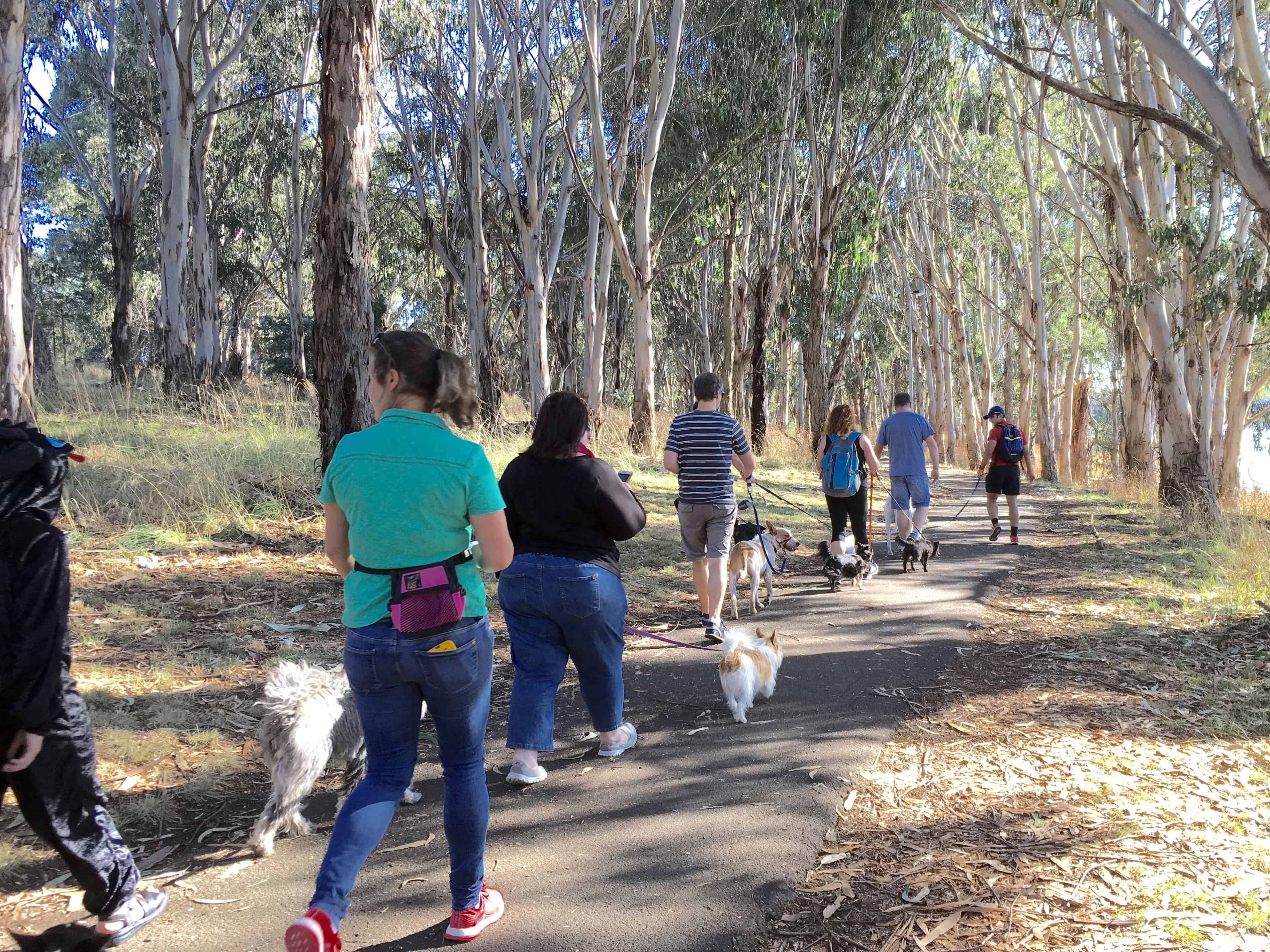 Canberra pram friendly dog walks Canberra Dog Walks