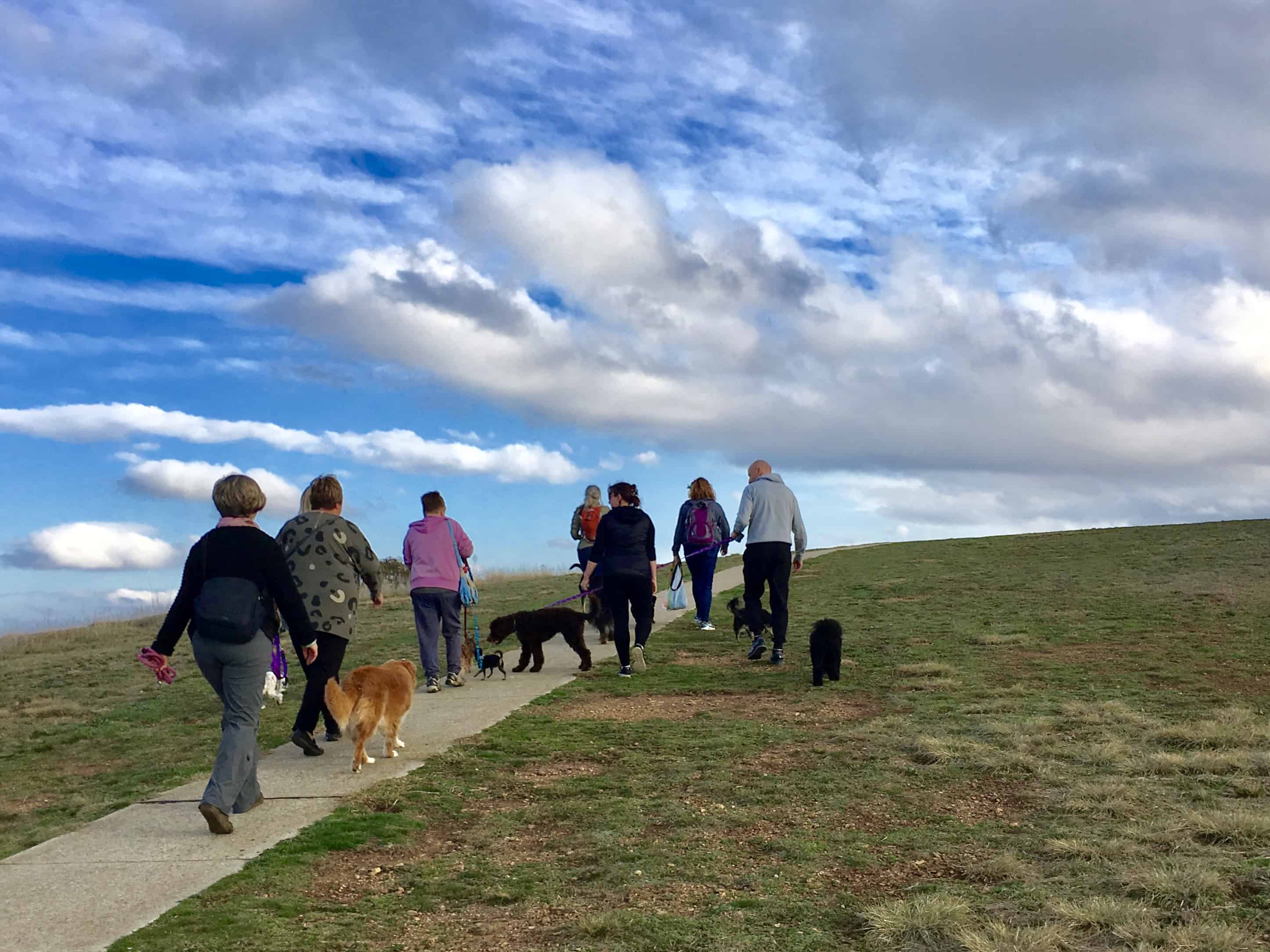 Best Canberra dog friendly walks Canberra Dog Walks