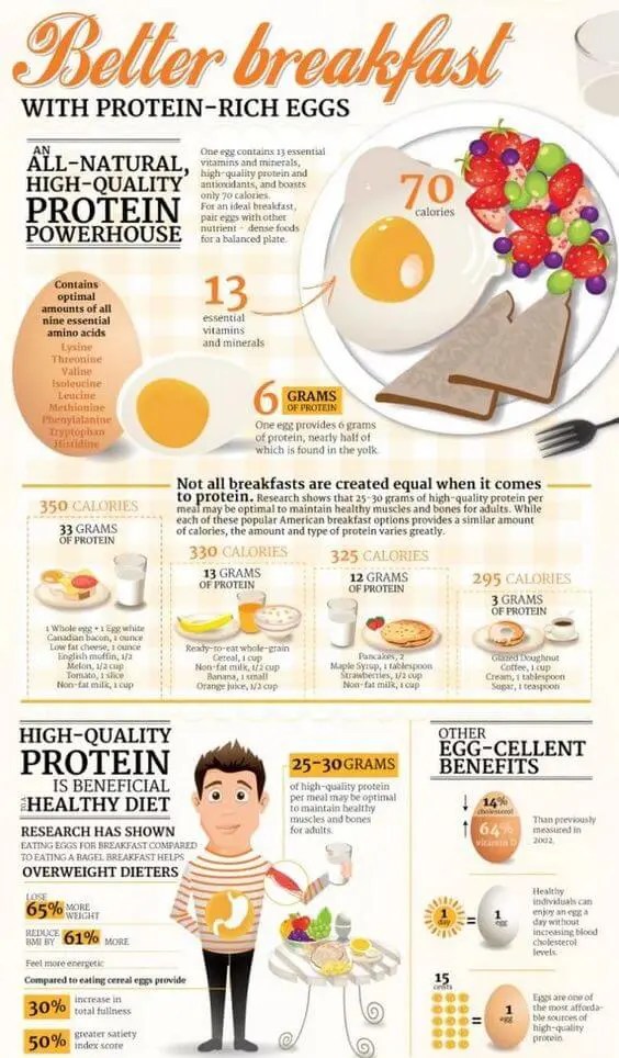 Can Cats Eat Raw Egg? How much Raw Egg are Safe for Cats