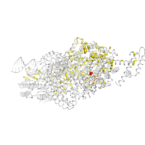 MSH3 Gene Somatic Mutations in Cancer