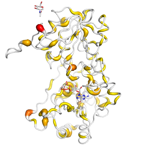 POFUT2 Gene Somatic Mutations in Cancer
