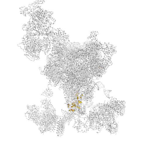SF3B4 Gene Somatic Mutations in Cancer