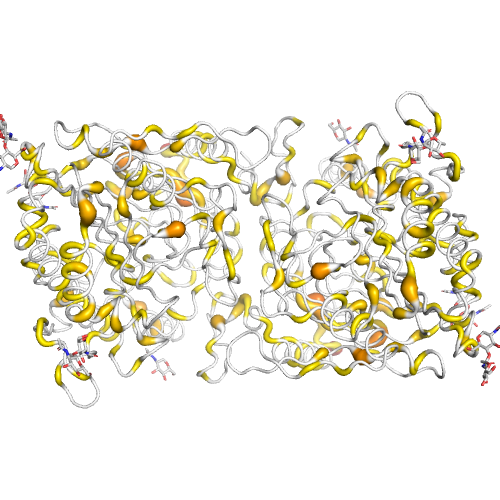 SGSH Gene Somatic Mutations in Cancer