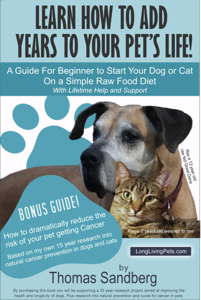 Cancer Cure for Dogs