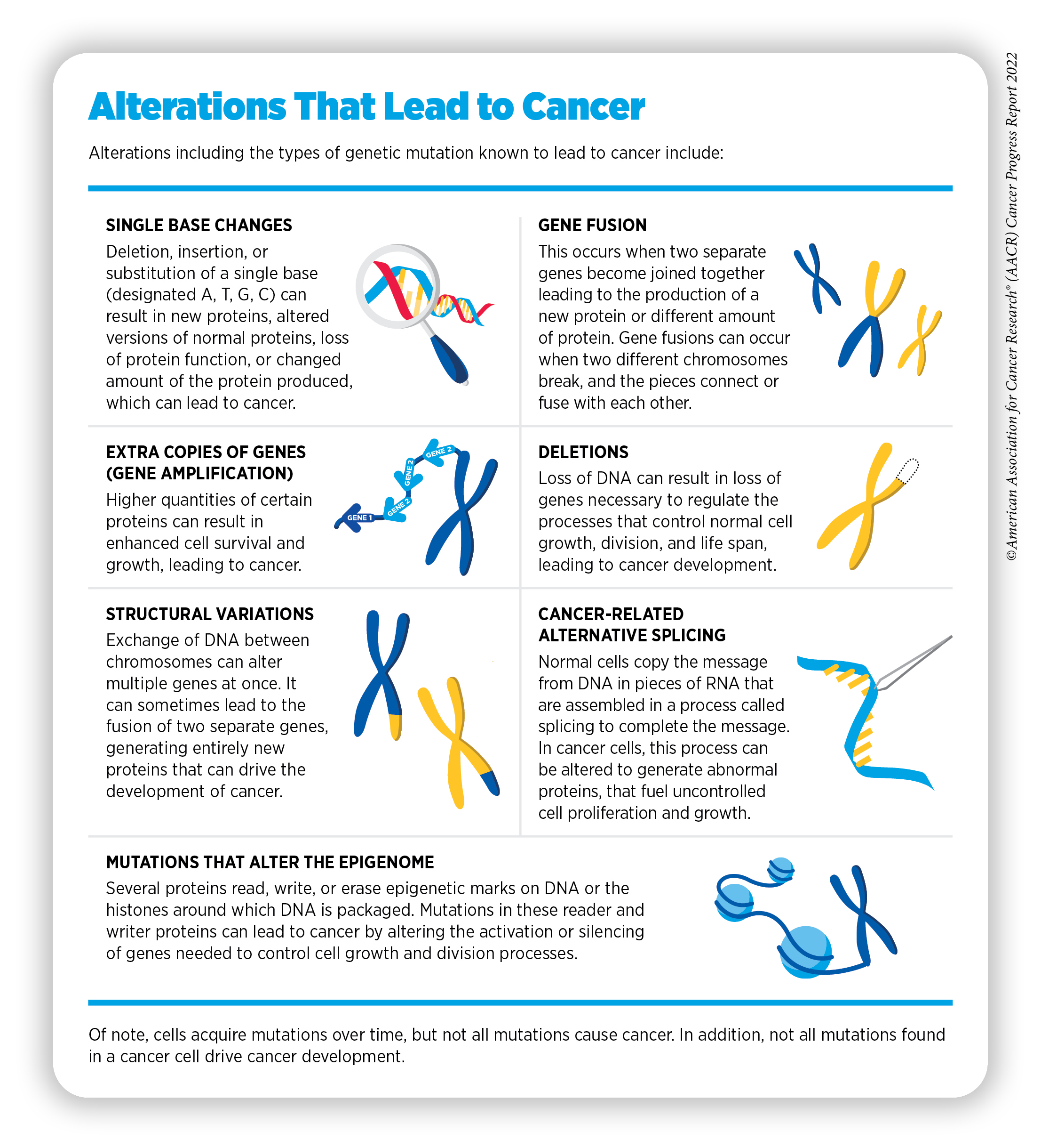How Cancer Develops | AACR Cancer Progress Report