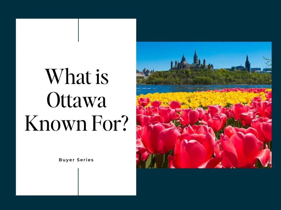 What Ottawa is Known For? The Good and the Bad