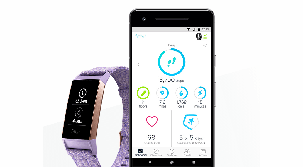Fitbit for Windows 10 Free download and software reviews