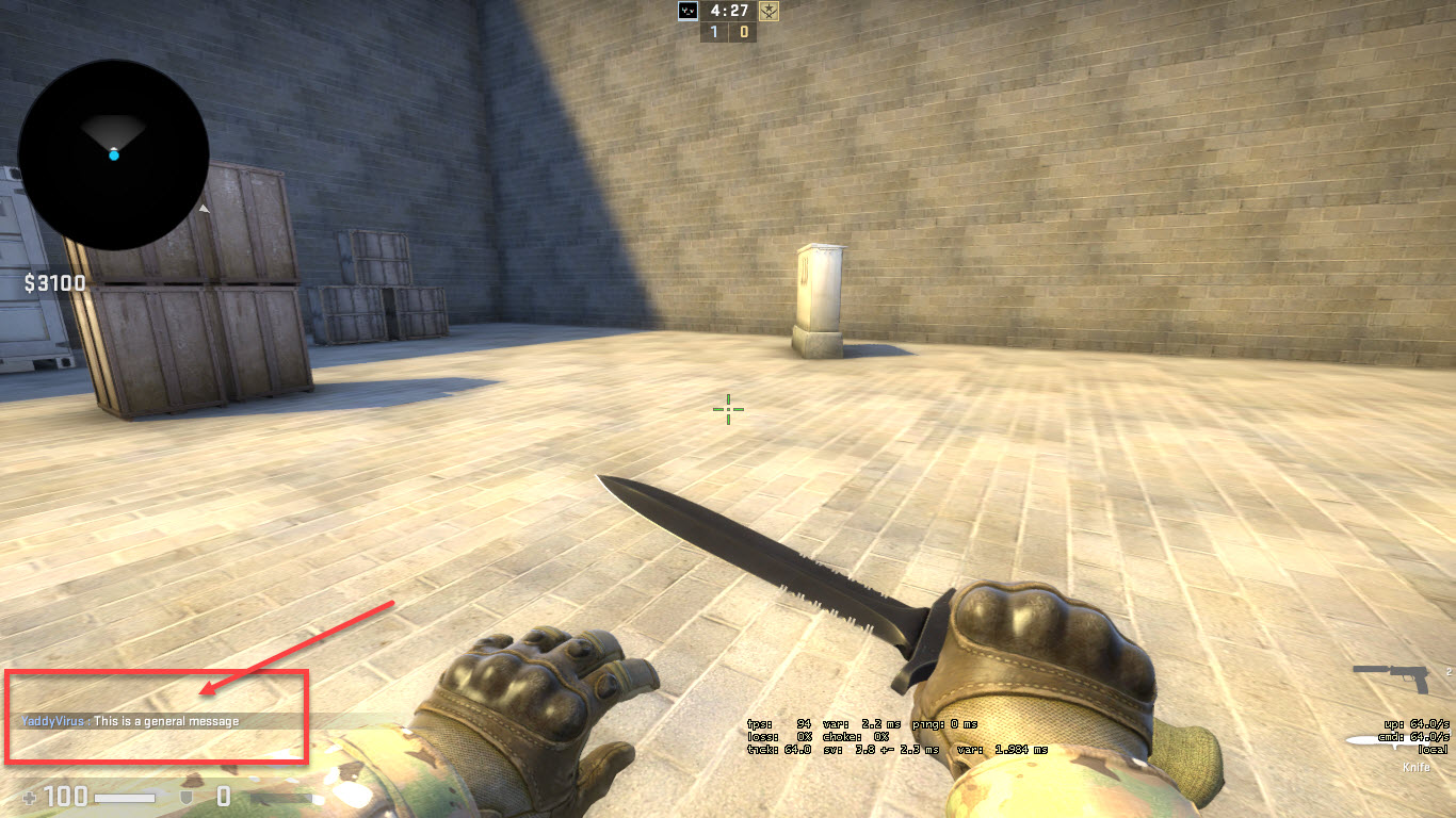 How to mute people in CSGO? How to chat ingame?