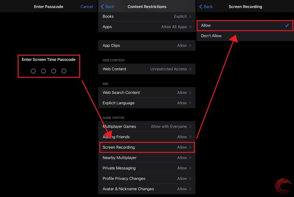 Fix Screen recording not working' issue on iPhone and iPad