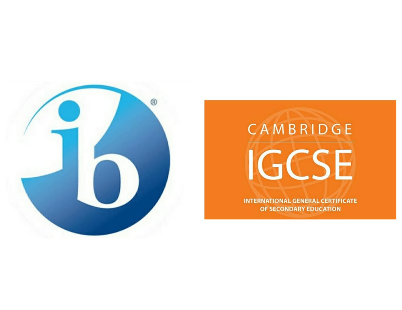 Comparing IB Vs IGCSE Finding the Right Fit 202425