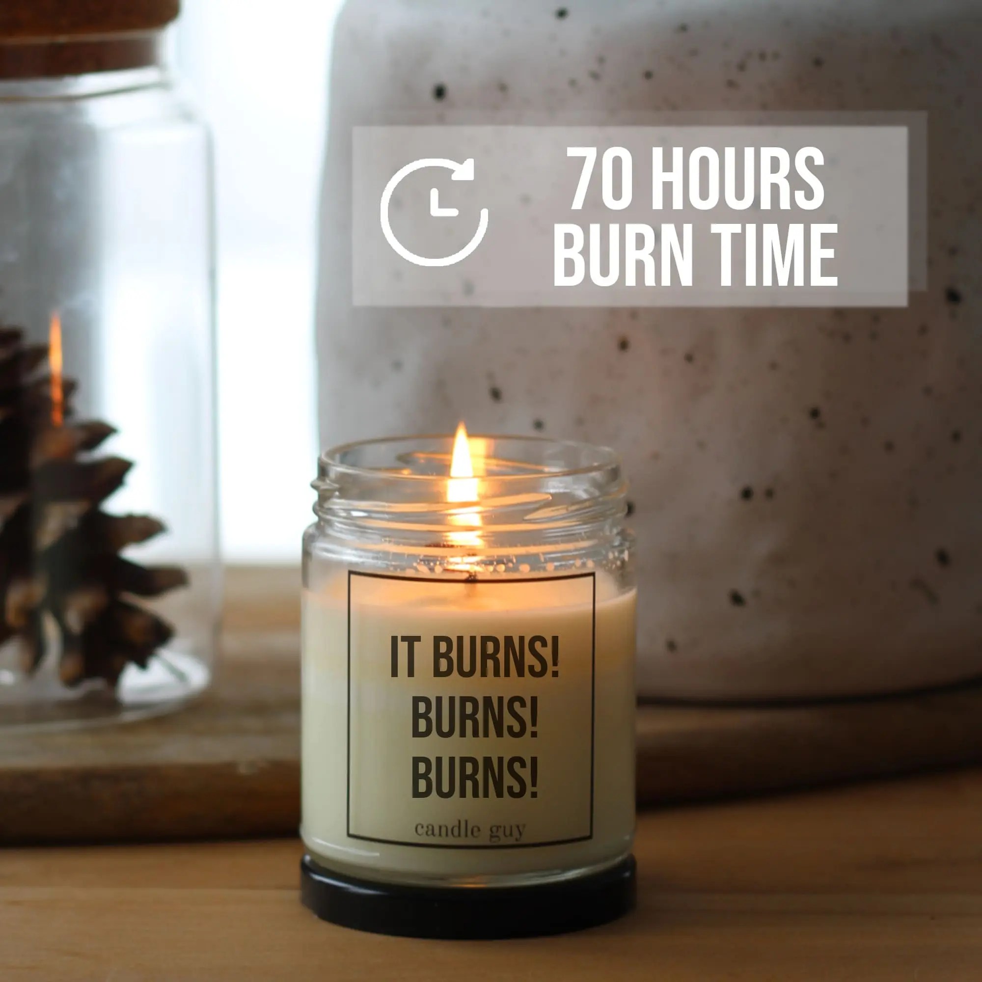 candle guy Scented Candle Being a functional adult every day seems a