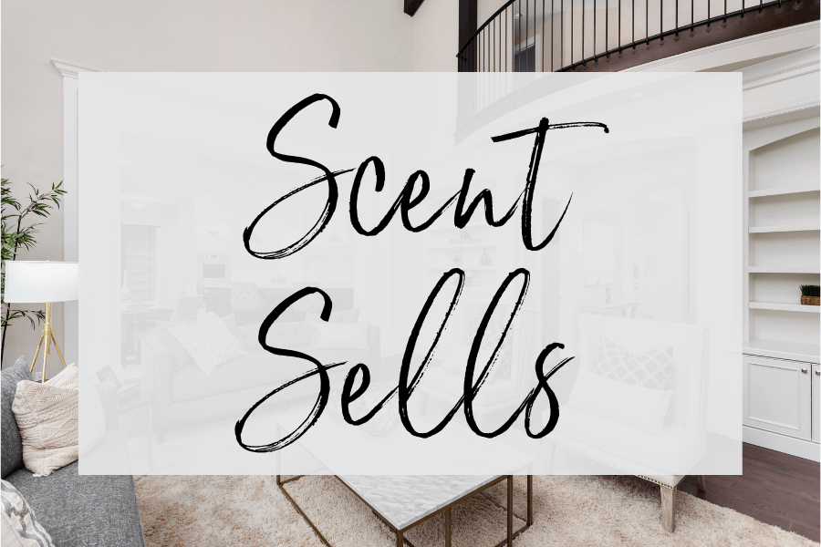 The Best Fragrances for Selling Your Home Candle Warmers
