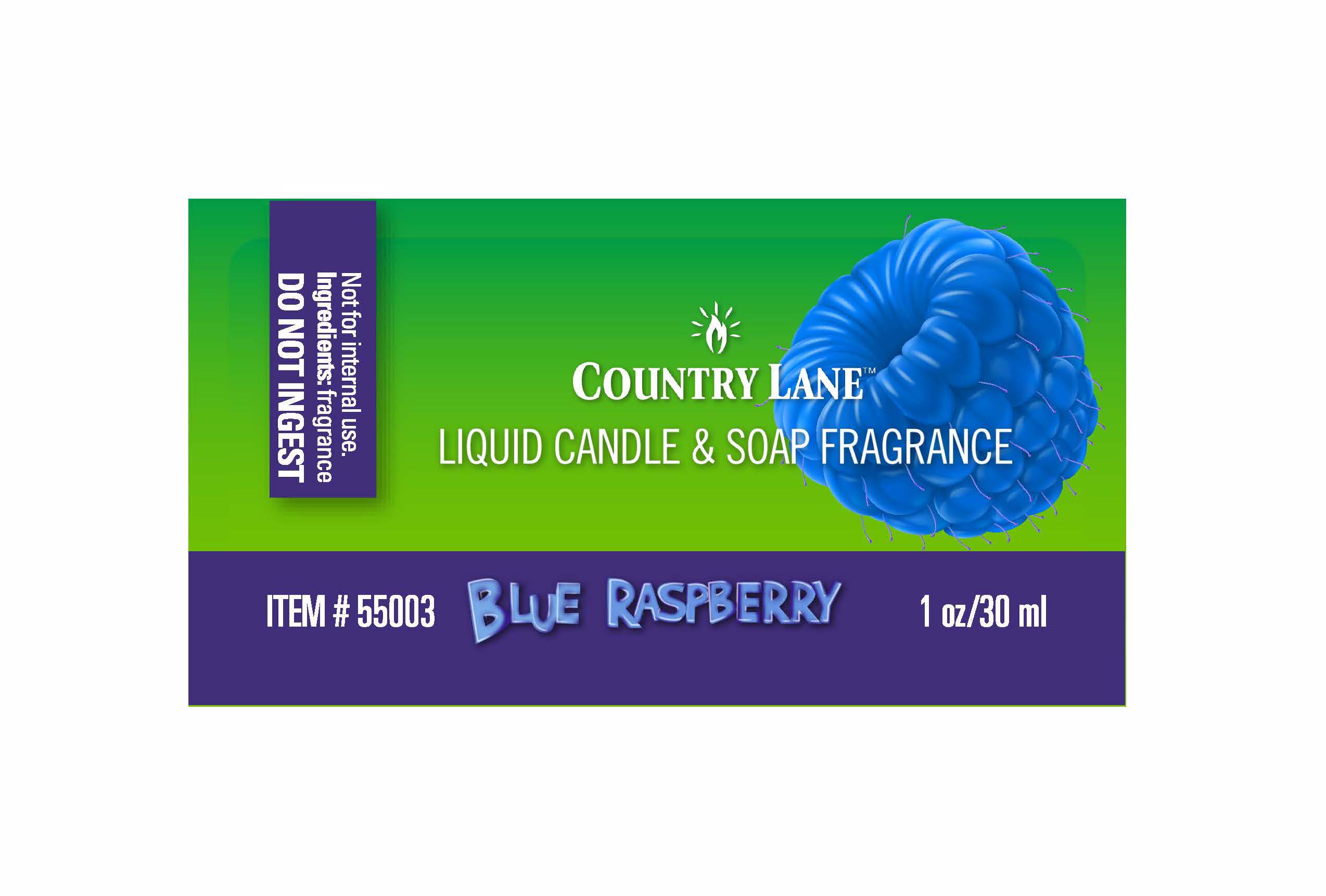 Blue Raspberry Fragrance Oil RT Candlewic Candle Making Supplies