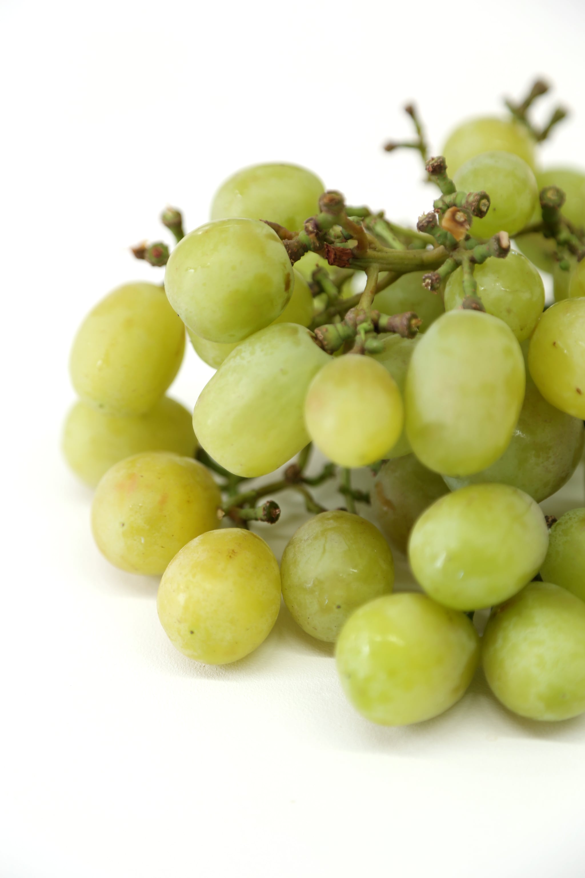How Many Calories Do Cotton Candy Grapes Have? Candy Artisans