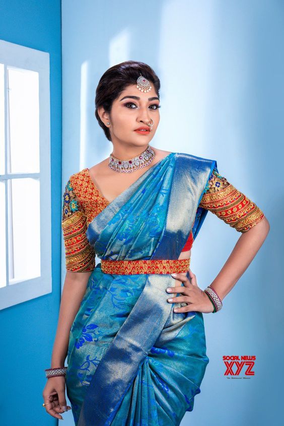 30 Contrast Blouse Designs For Blue Silk Saree Candy Crow