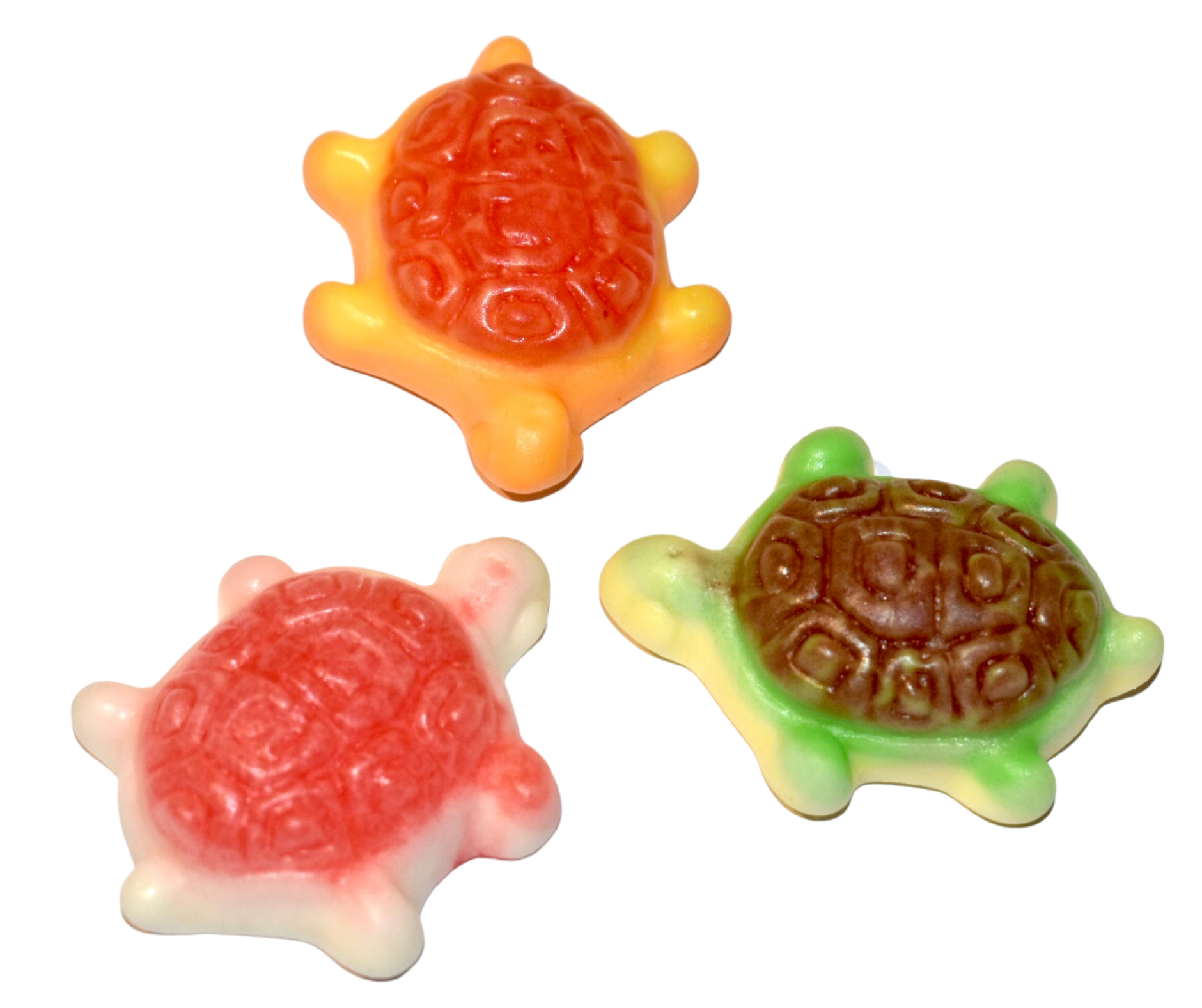 Gummi Turtles Candyland Store