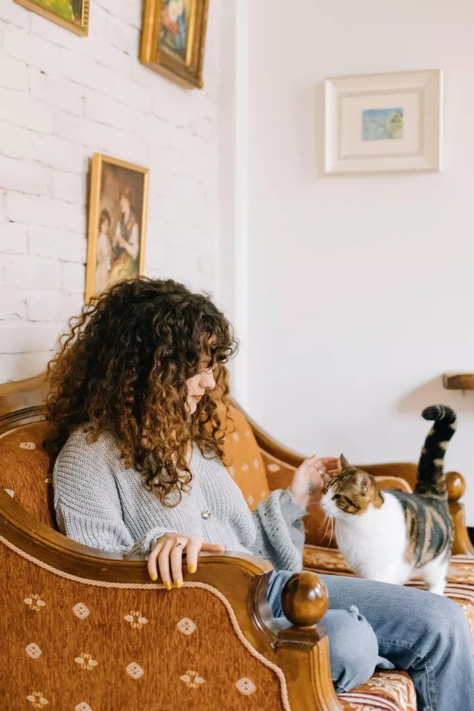 Can My Cat Have Cotton Candy? CandyTurf