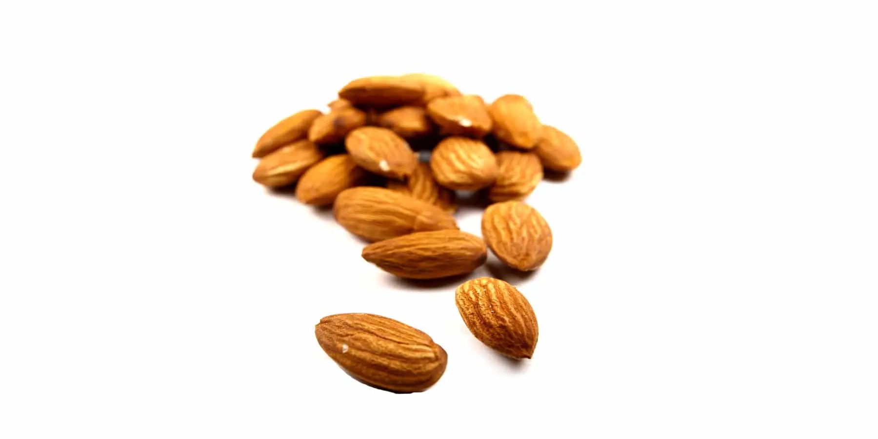 American Almond Opening New Jersey Facility NCA