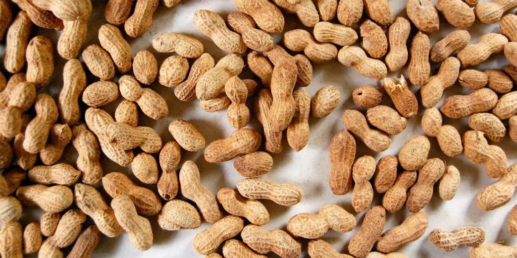 ADM’s Golden Peanut And Tree Nuts Constructing Alabama Warehouse NCA