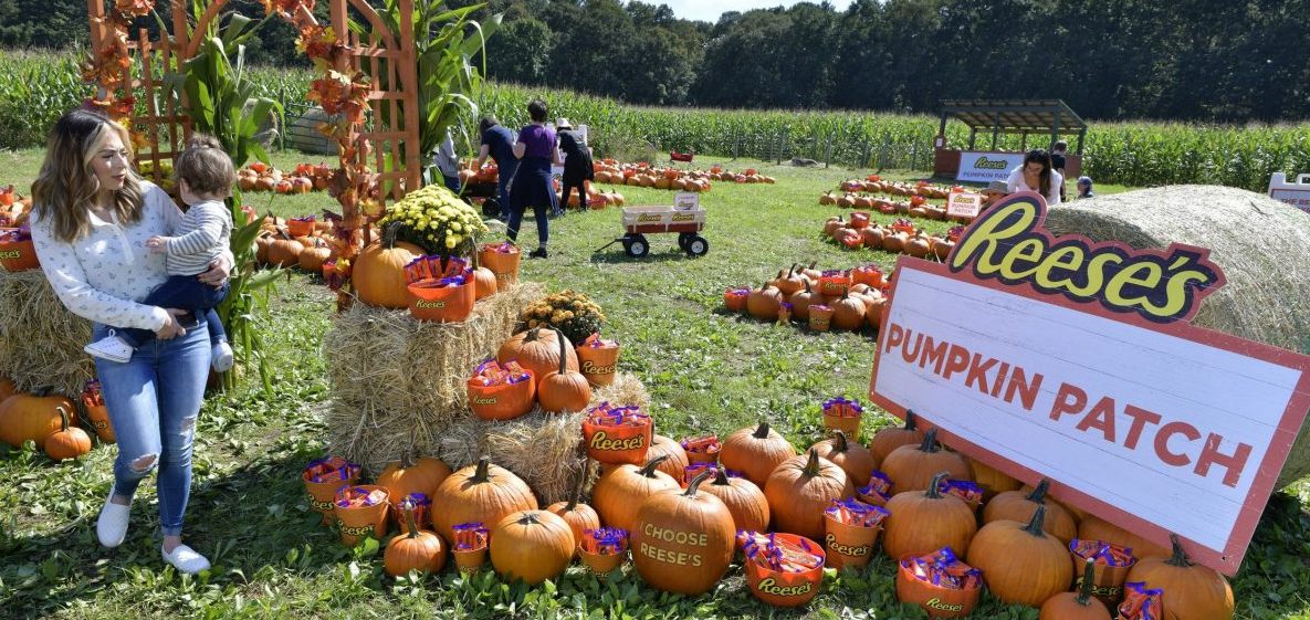 Hershey Wants To Prove Reese's Peanut Butter Pumpkins Are The Official