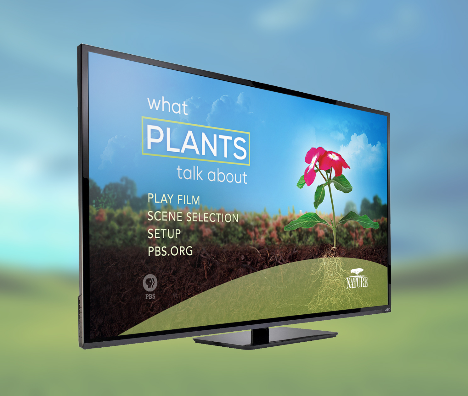 Candy ZC Design Portfolio