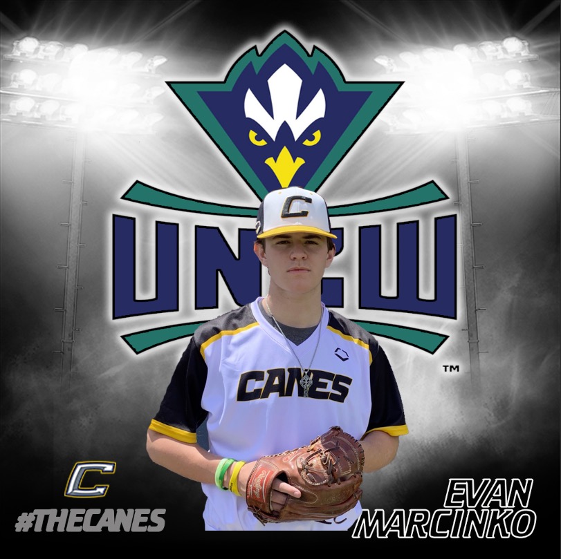 A Different Brand Of Baseball Canes Baseball