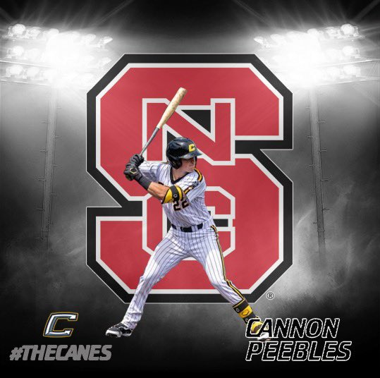 A Different Brand Of Baseball Canes Baseball