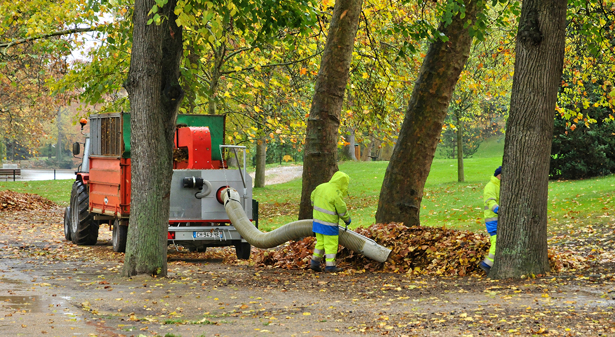 2021 Leaf PickUp City of Canfield