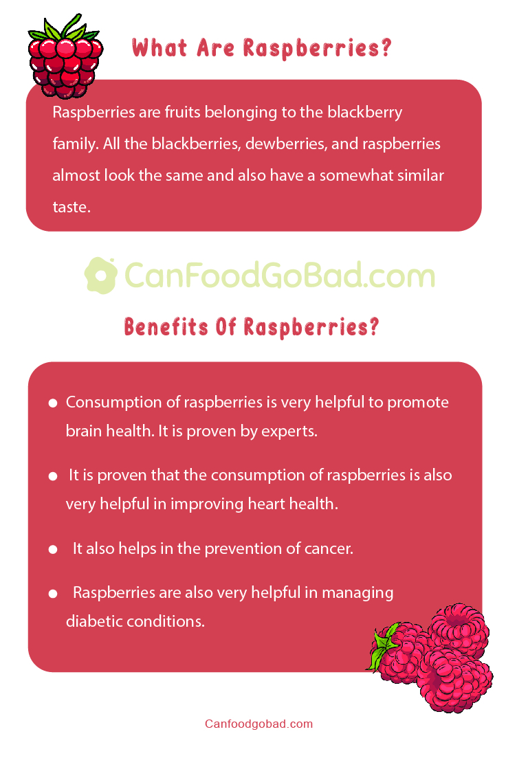 How Long Do Raspberries Last Best Ways To Preserve Raspberries Can