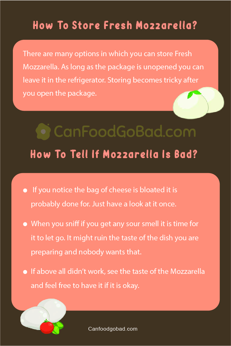 From Fridge to Table Mastering the Art of Storing Fresh Mozzarella