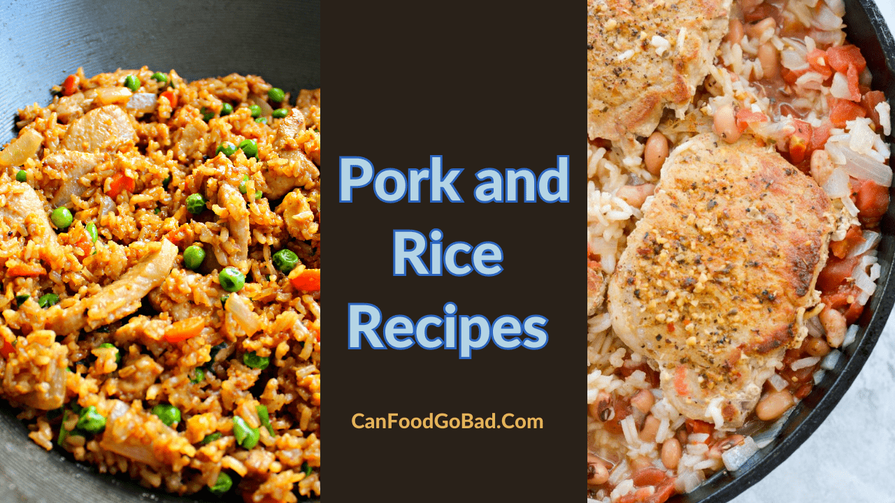Delicious and Savory MouthWatering Pork and Rice Recipes to Try Today