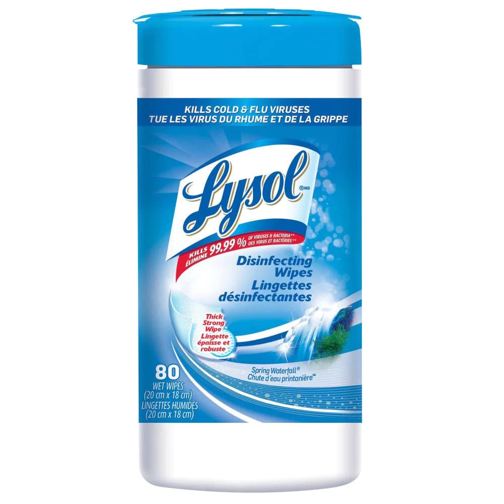 LYSOL WIPES 80CT/Tube Personal Protective Equipment Buy Canadian