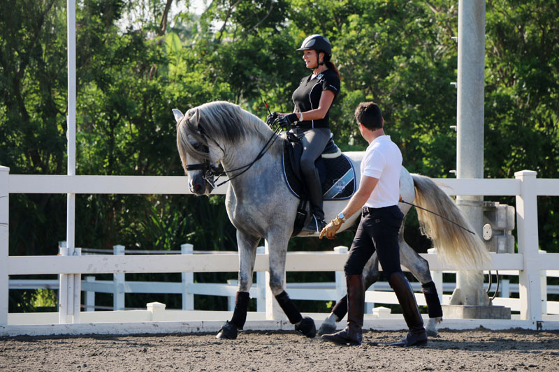 VIDEO Bali Equestrian Center, Hot Spot Horse Riding School in Canggu